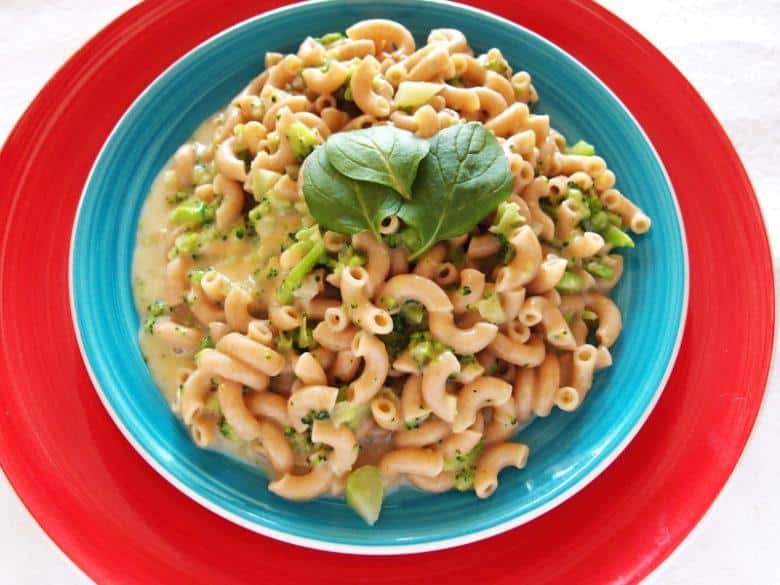Macaroni - Vegetarian cuisine
